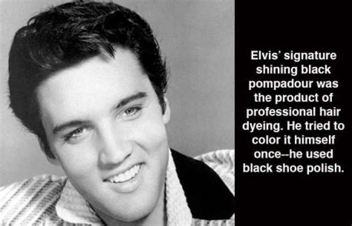 25 Interesting Elvis Presley Facts On His Twin, Last Words, And More