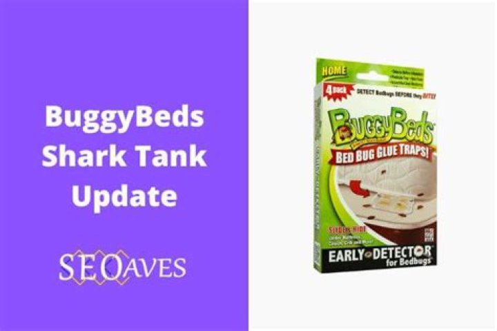BuggyBeds Shark Tank Net Worth Update – How Much Is The Company Value?