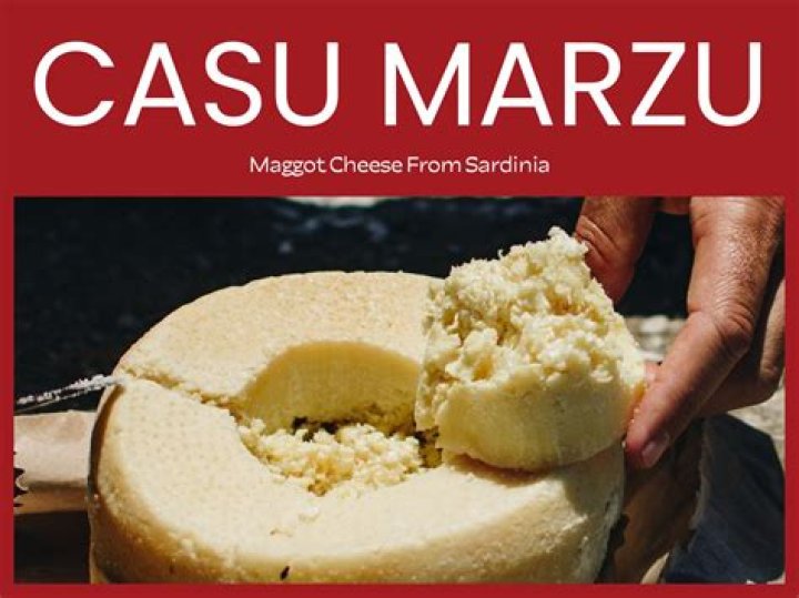 Casu Marzu, The Italian Maggot Cheese That's Illegal Around The World