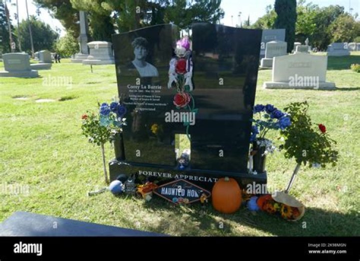 Corey La Barrie Height, Weight, Net Worth, Age, Birthday, Wikipedia, Who, Nationality, Biography