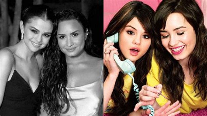 Demi Lovato and Selena Gomez Confirm They’re Friends Again With New Silly Selfie