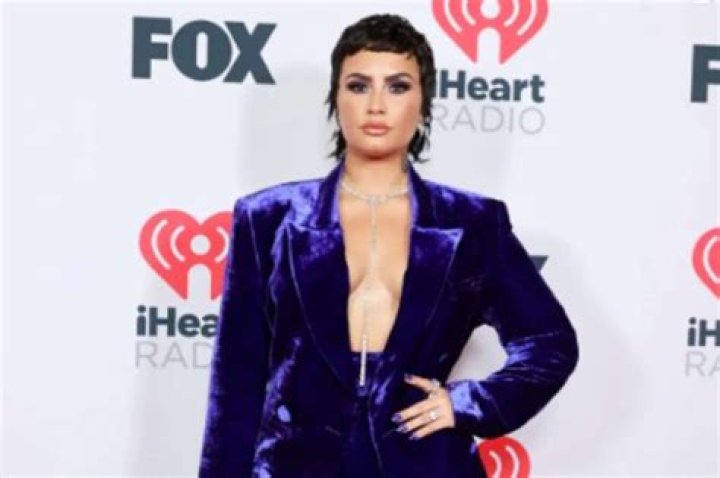 Demi Lovato Claims That She Has Stopped Making Documentaries