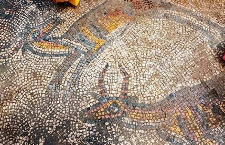 Dirty Jokes In 2,000-Year-Old Bathroom Mosaics Discovered In Turkey