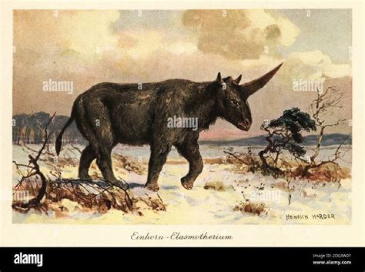 Discovery Of Elasmotherium Sibiricum, A 