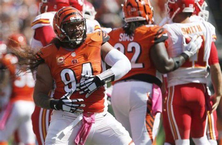 
Domata Peko Height, Weight, Net Worth, Age, Birthday, Wikipedia, Who, Instagram, Biography 