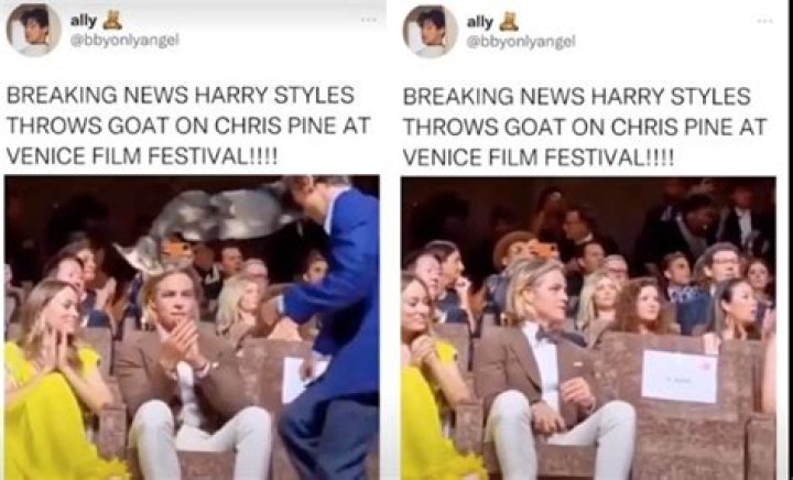 Harry Styles throws goat at Chris Pine in humorous Venice meme