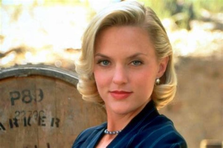 
Is Elaine Hendrix Married? Her Bio, Age, Husband and Net worth 