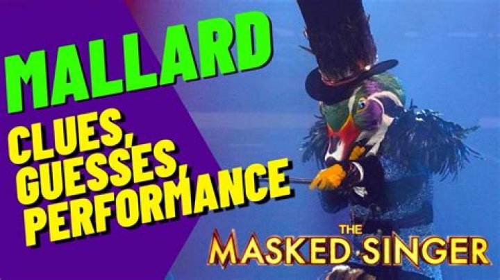 
Mallard Masked Singer Age, Birthday, Wikipedia, Who, Nationality, Biography 