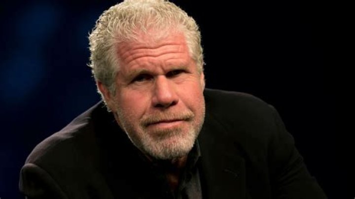 Ron Perlman Height, Weight, Net Worth, Age, Birthday, Wikipedia, Who, Nationality, Biography