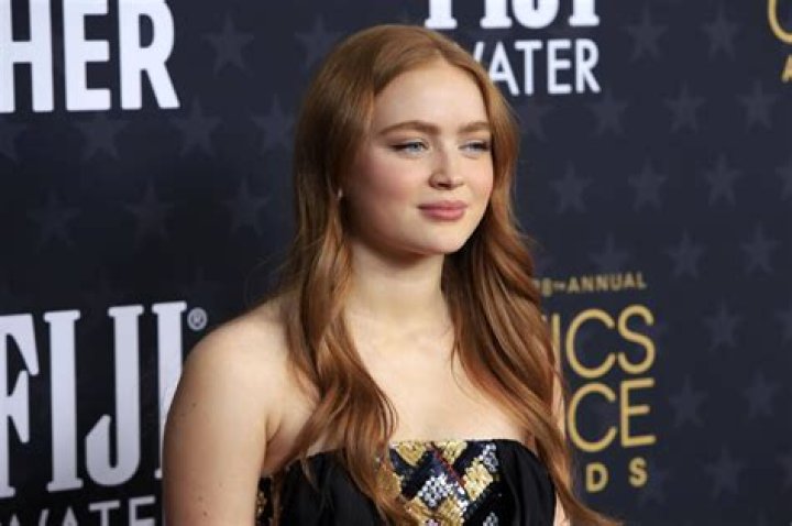 Sadie Sink Age, Net Worth and 5 Other Facts About The Actress