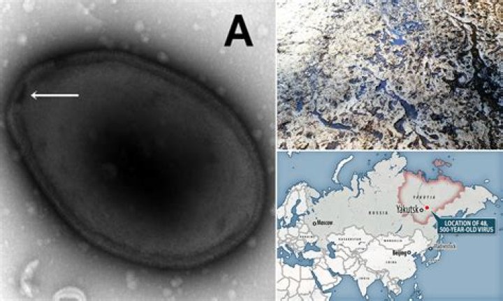 Scientists 'Awaken' 13 Viruses From The Siberian Permafrost