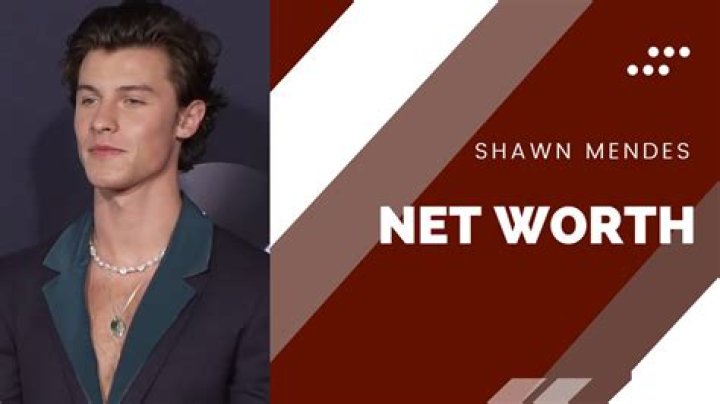 Shawn Mendes’ Net Worth Is Higher Than Camila Cabello’s: How Much Money Does He Make? 