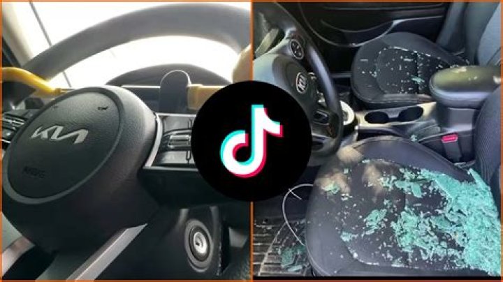 
TikTok Kia Challenge Video Gone Viral: Alissa Smart Became Victim Of Dangerous Trend 