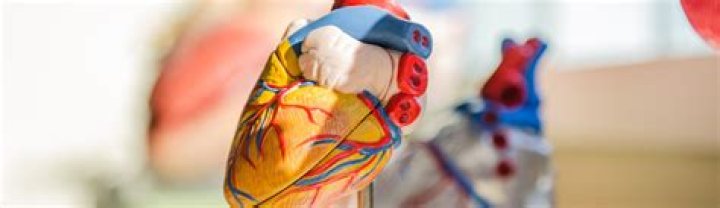 Dr. Venkat Thota, MD – Wichita Falls, TX