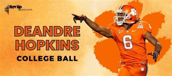 Where did DeAndre Hopkins go to high school?