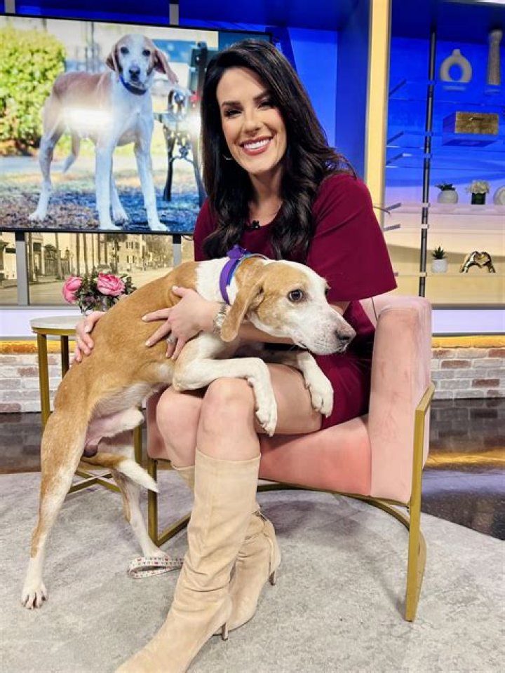 
Why Is Melanie Orlins Leaving News 4 Buffalo? Everything To Know 